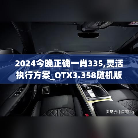 2024今晚正确一肖335,灵活执行方案_OTX3.358随机版