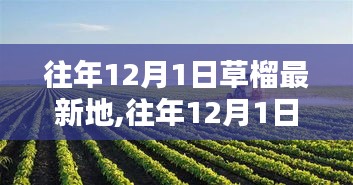 往年12月1日探访草榴最新地，生态、科研与应用价值深度探讨