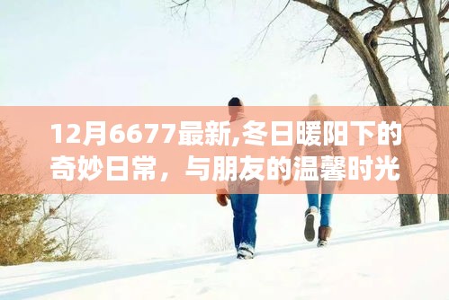 冬日暖阳下的温馨日常，与朋友共度奇妙时光（12月最新分享）