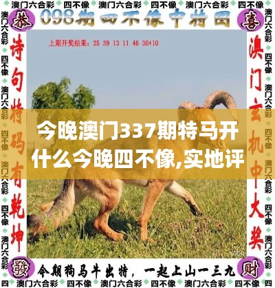 今晚澳门337期特马开什么今晚四不像,实地评估策略_精英款96.920-1