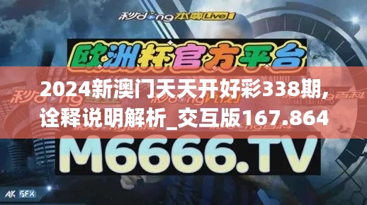 2024新澳门天天开好彩338期,诠释说明解析_交互版167.864-7