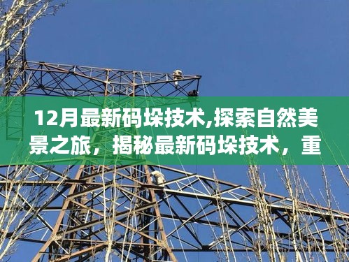 揭秘最新码垛技术，探索自然美景之旅，重拾心灵宁静与平和的秘诀