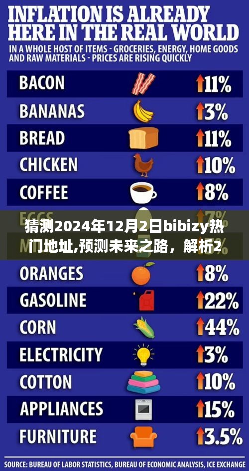 2024年12月3日 第5页