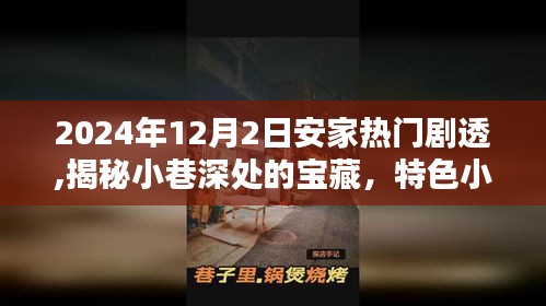 独家揭秘，小巷宝藏特色小店——安家热门剧透 2024年12月2日