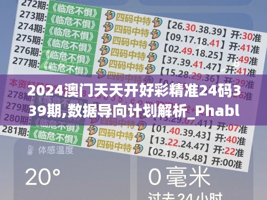 2024澳门天天开好彩精准24码339期,数据导向计划解析_Phablet115.802-5