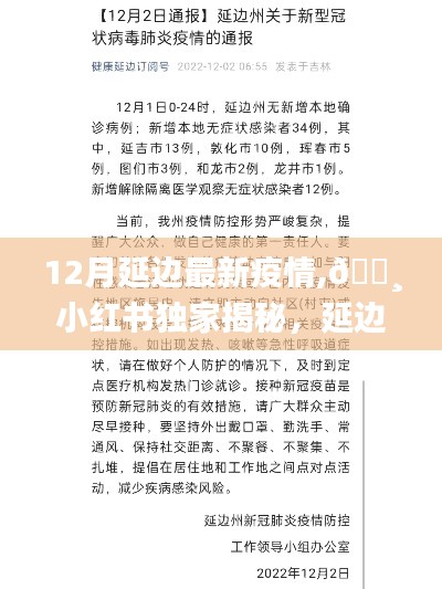 小红书独家揭秘，延边地区12月最新疫情动态与防控进展