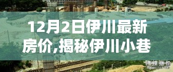 揭秘伊川小巷风情与最新房价，隐藏式特色小店探秘