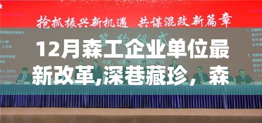 森工企业单位改革下的独特小店探秘，深巷藏珍的新机遇