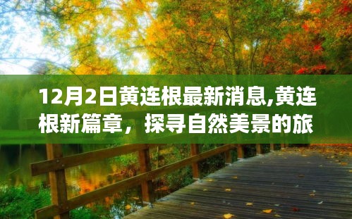 黄连根新篇章，探寻自然美景之旅，心灵宁静的呼唤与笑声相伴