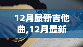 2024年12月4日 第6页