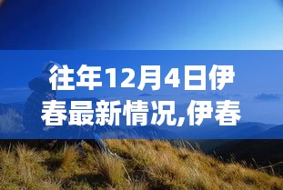 伊春探秘之旅，与自然共舞的心灵宁静之地最新动态（12月4日）