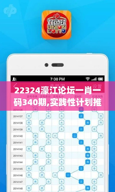 22324濠江论坛一肖一码340期,实践性计划推进_Windows24.805-6