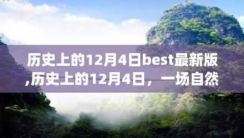 2024年12月5日 第17页