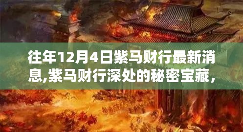 紫马财行深处的秘密宝藏，最新消息与小巷特色小店新发现揭秘