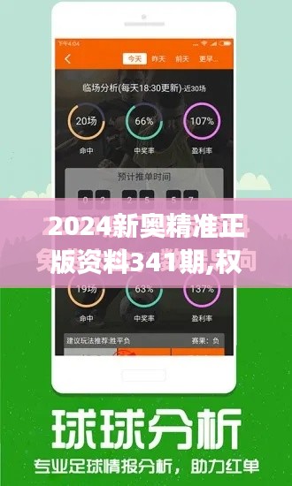 2024新奥精准正版资料341期,权威推进方法_SP10.590