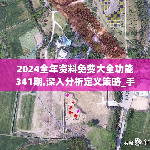 2024全年资料免费大全功能341期,深入分析定义策略_手游版15.551