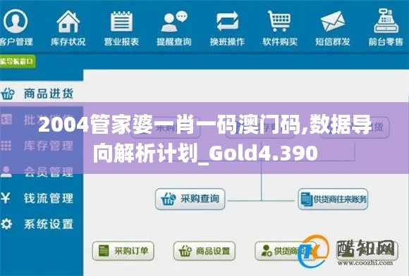 2004管家婆一肖一码澳门码,数据导向解析计划_Gold4.390