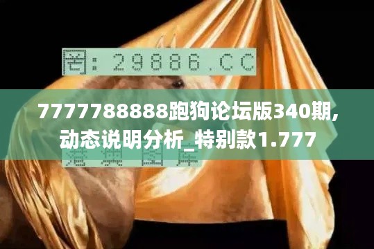 7777788888跑狗论坛版340期,动态说明分析_特别款1.777