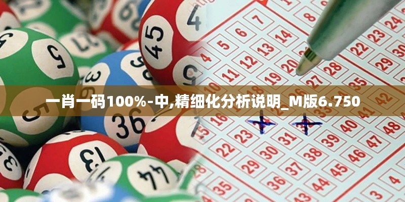 一肖一码100%-中,精细化分析说明_M版6.750