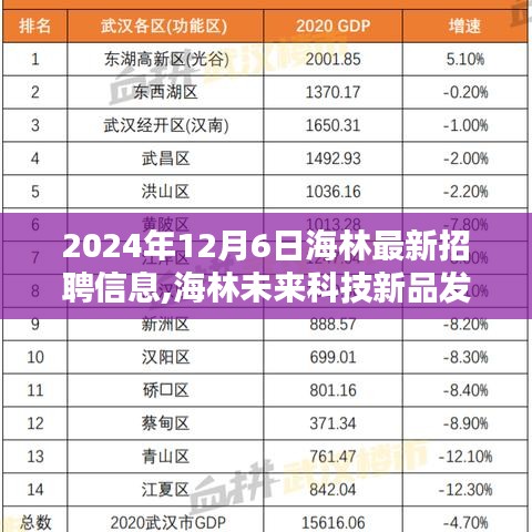 海林最新招聘信息及未来科技新品发布，智能招聘革新引领未来生活