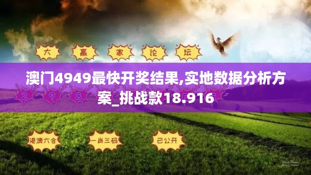 澳门4949最快开奖结果,实地数据分析方案_挑战款18.916