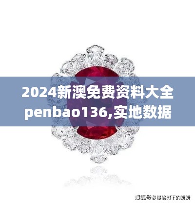 2024新澳免费资料大全penbao136,实地数据评估设计_zShop6.564