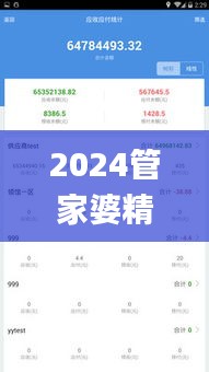 2024管家婆精准资料第三,系统解析说明_XT4.860