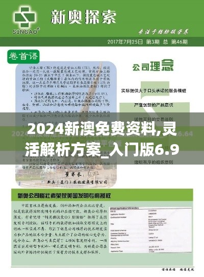 2024新澳免费资料,灵活解析方案_入门版6.916