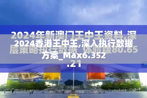 2024香港王中王,深入执行数据方案_Max6.352