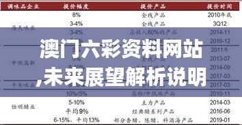 澳门六彩资料网站,未来展望解析说明_优选版9.276