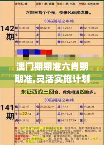 澳门期期准六肖期期准,灵活实施计划_D版3.535