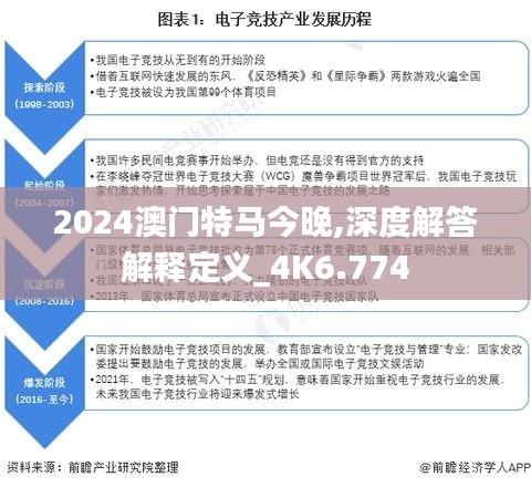 2024澳门特马今晚,深度解答解释定义_4K6.774