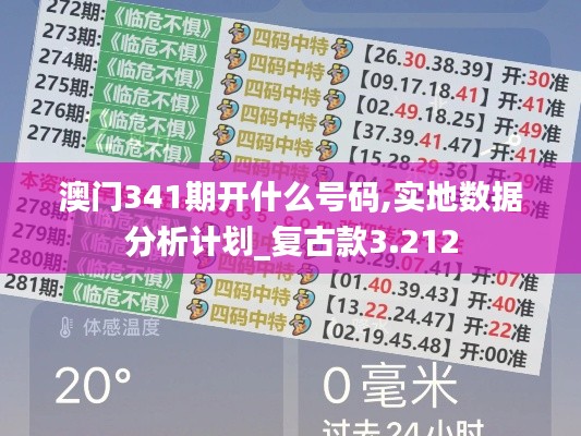 澳门341期开什么号码,实地数据分析计划_复古款3.212