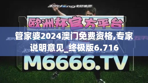 管家婆2024澳门免费资格,专家说明意见_终极版6.716