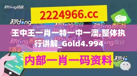 王中王一肖一特一中一澳,整体执行讲解_Gold4.994