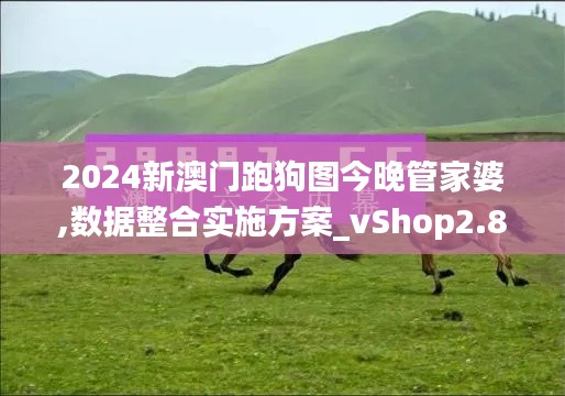 2024新澳门跑狗图今晚管家婆,数据整合实施方案_vShop2.856