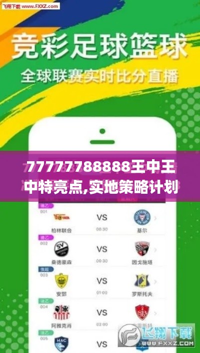 77777788888王中王中特亮点,实地策略计划验证_eShop19.848