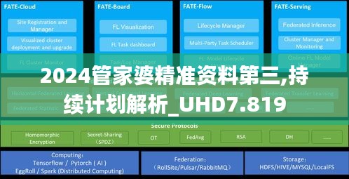 2024管家婆精准资料第三,持续计划解析_UHD7.819