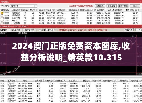 2024澳门正版免费资本图库,收益分析说明_精英款10.315