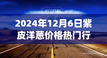 2024年12月6日紫皮洋葱行情及心灵与自然美景的探索之旅