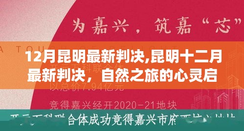 昆明最新判决背后的自然之旅心灵启示录