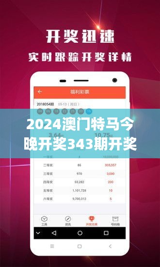 2024澳门特马今晚开奖343期开奖结果,决策资料解释落实_C版16.132