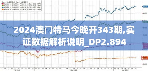 2024澳门特马今晚开343期,实证数据解析说明_DP2.894