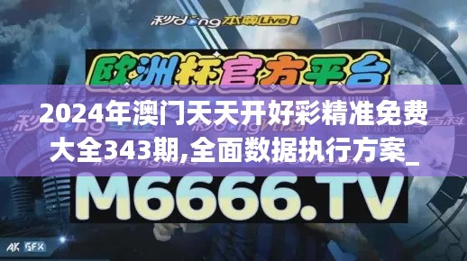 2024年澳门天天开好彩精准免费大全343期,全面数据执行方案_开发版19.233