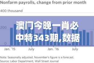 澳门今晚一肖必中特343期,数据分析说明_MP10.144