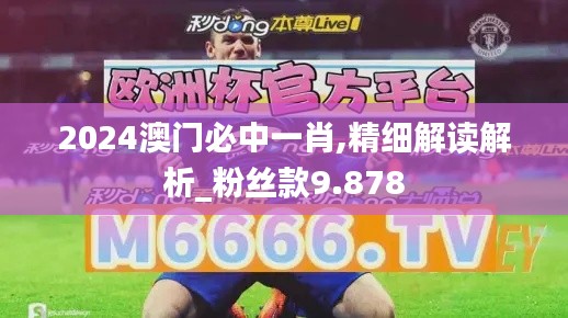 2024澳门必中一肖,精细解读解析_粉丝款9.878