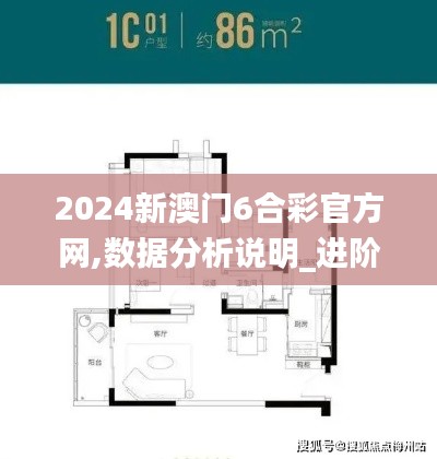 2024新澳门6合彩官方网,数据分析说明_进阶款9.575