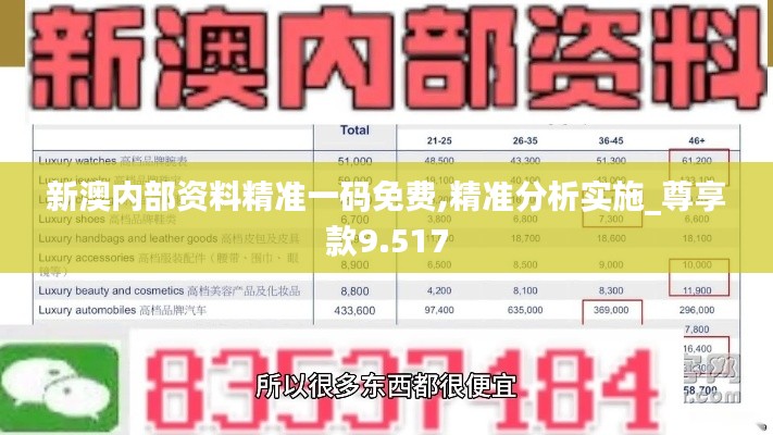 新澳内部资料精准一码免费,精准分析实施_尊享款9.517