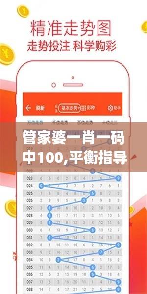 管家婆一肖一码中100,平衡指导策略_6DM13.770