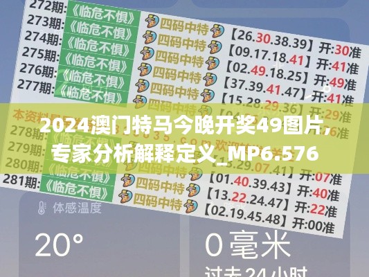 2024澳门特马今晚开奖49图片,专家分析解释定义_MP6.576